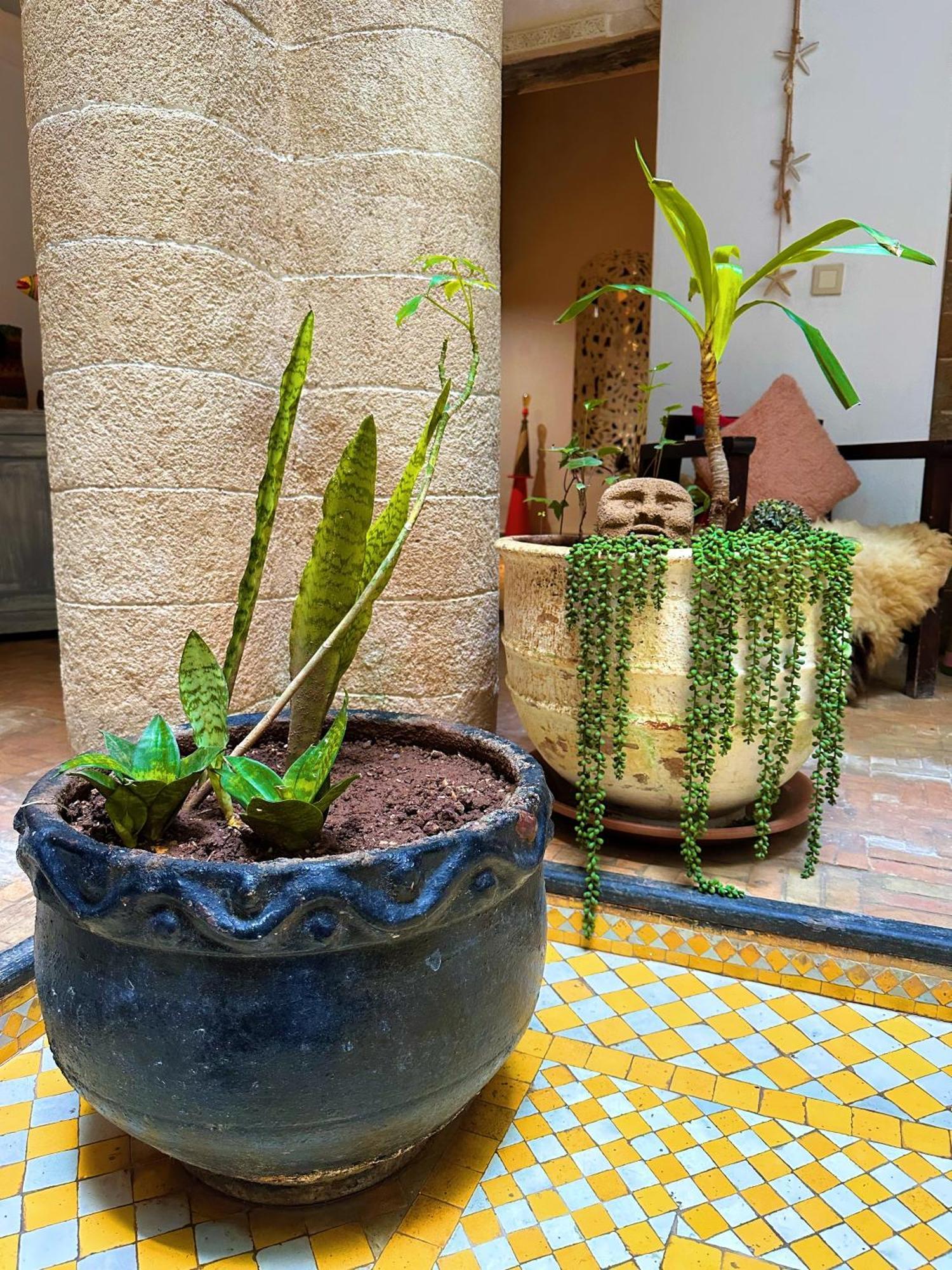 Les Terrasses D'Essaouira - Yoga Studio Экстерьер фото