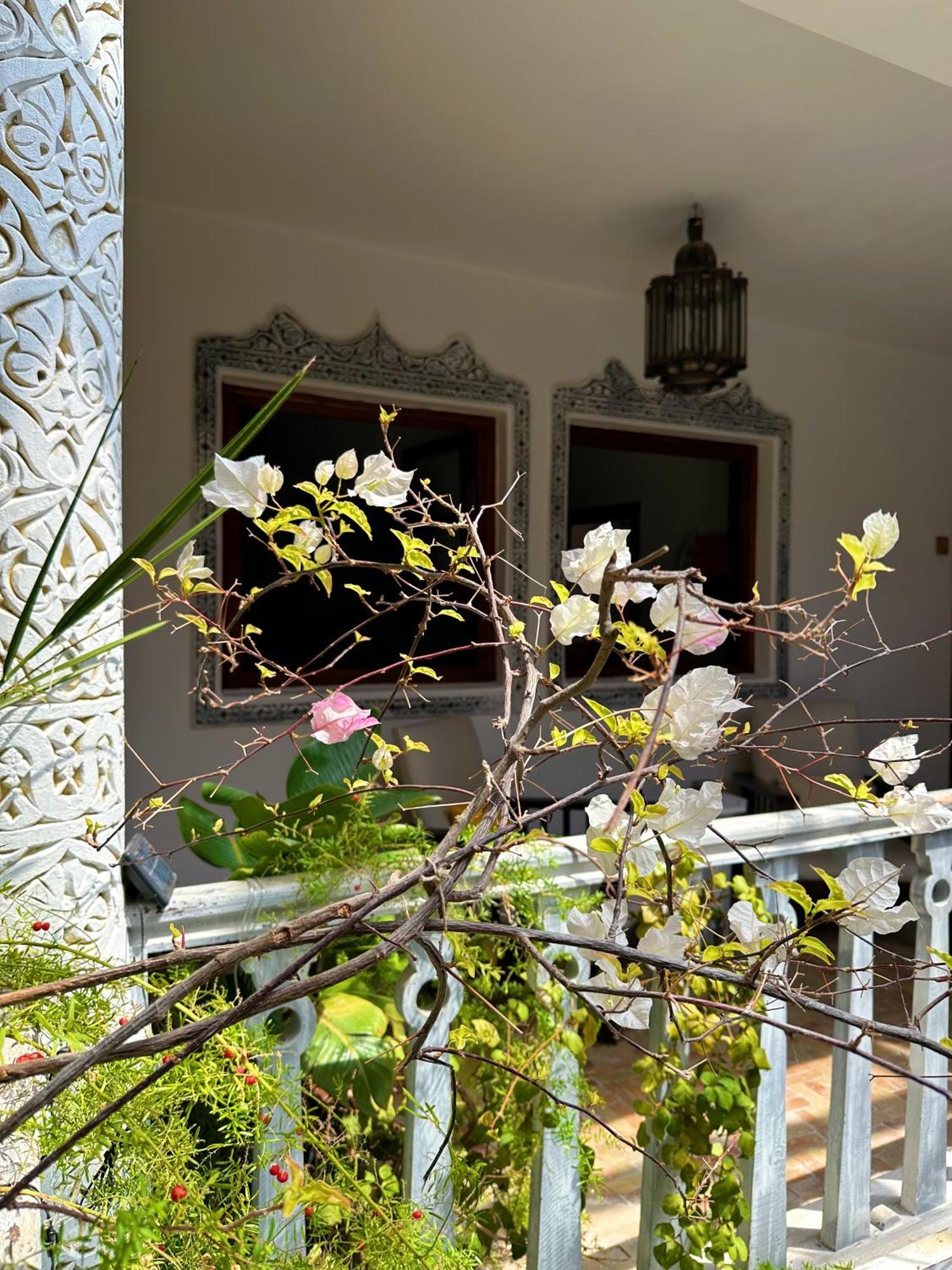Les Terrasses D'Essaouira - Yoga Studio Экстерьер фото
