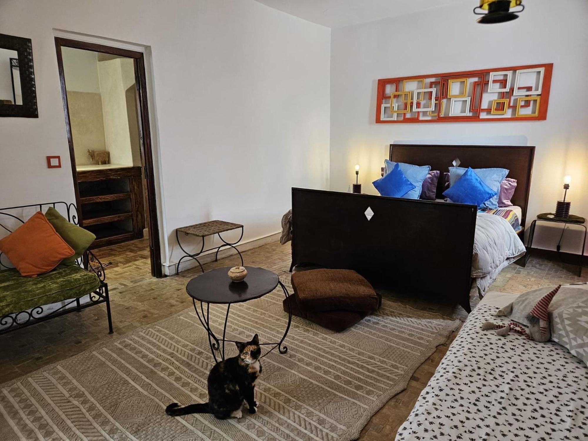 Les Terrasses D'Essaouira - Yoga Studio Экстерьер фото